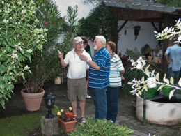  Kakteenhock bei Meier 2011